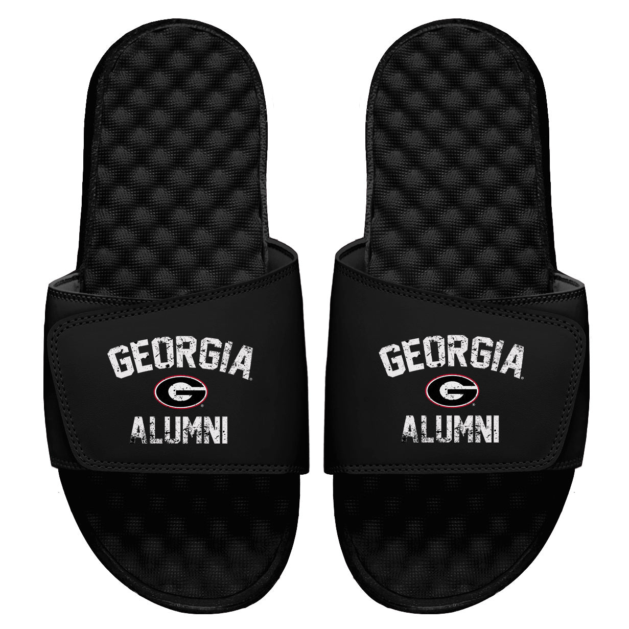 Georgia Alumni Slides