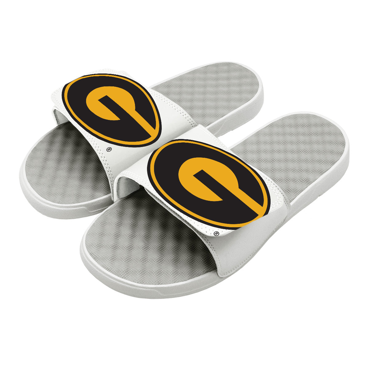 Grambling State Blown Up Primary Slides