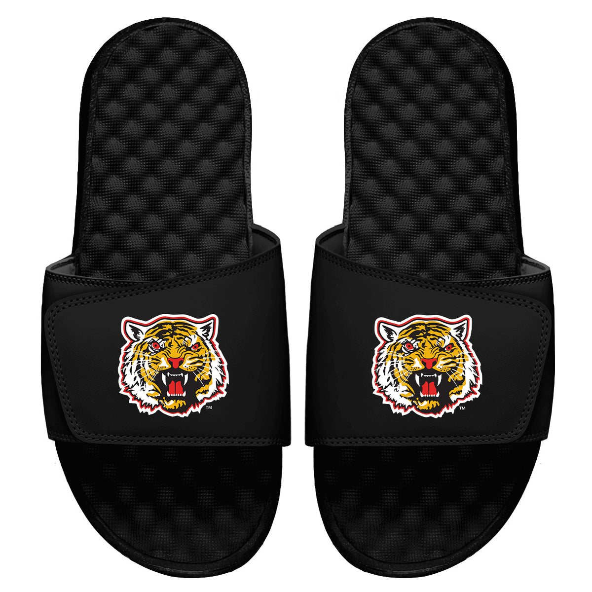 Grambling State Mascot Slides