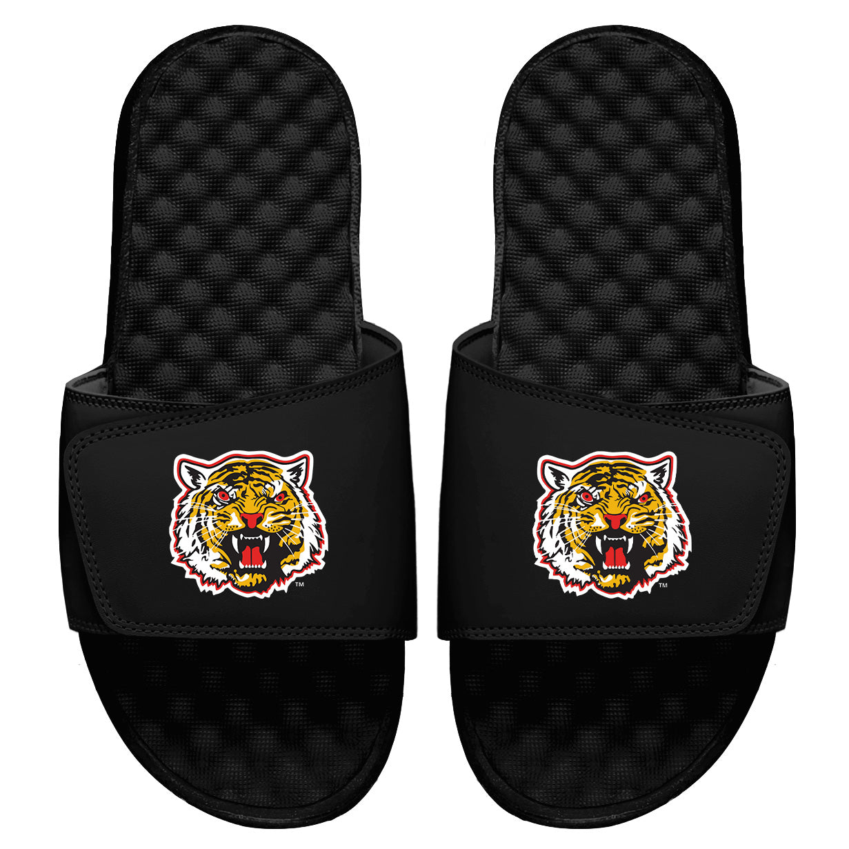 Grambling State Mascot Slides