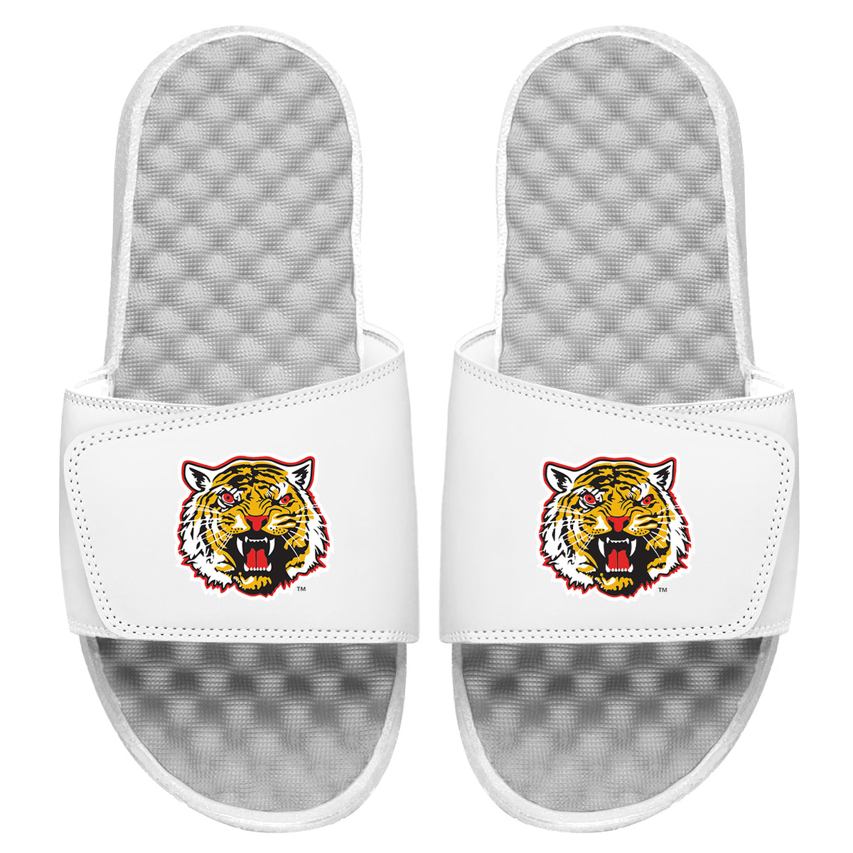 Grambling State Mascot Slides