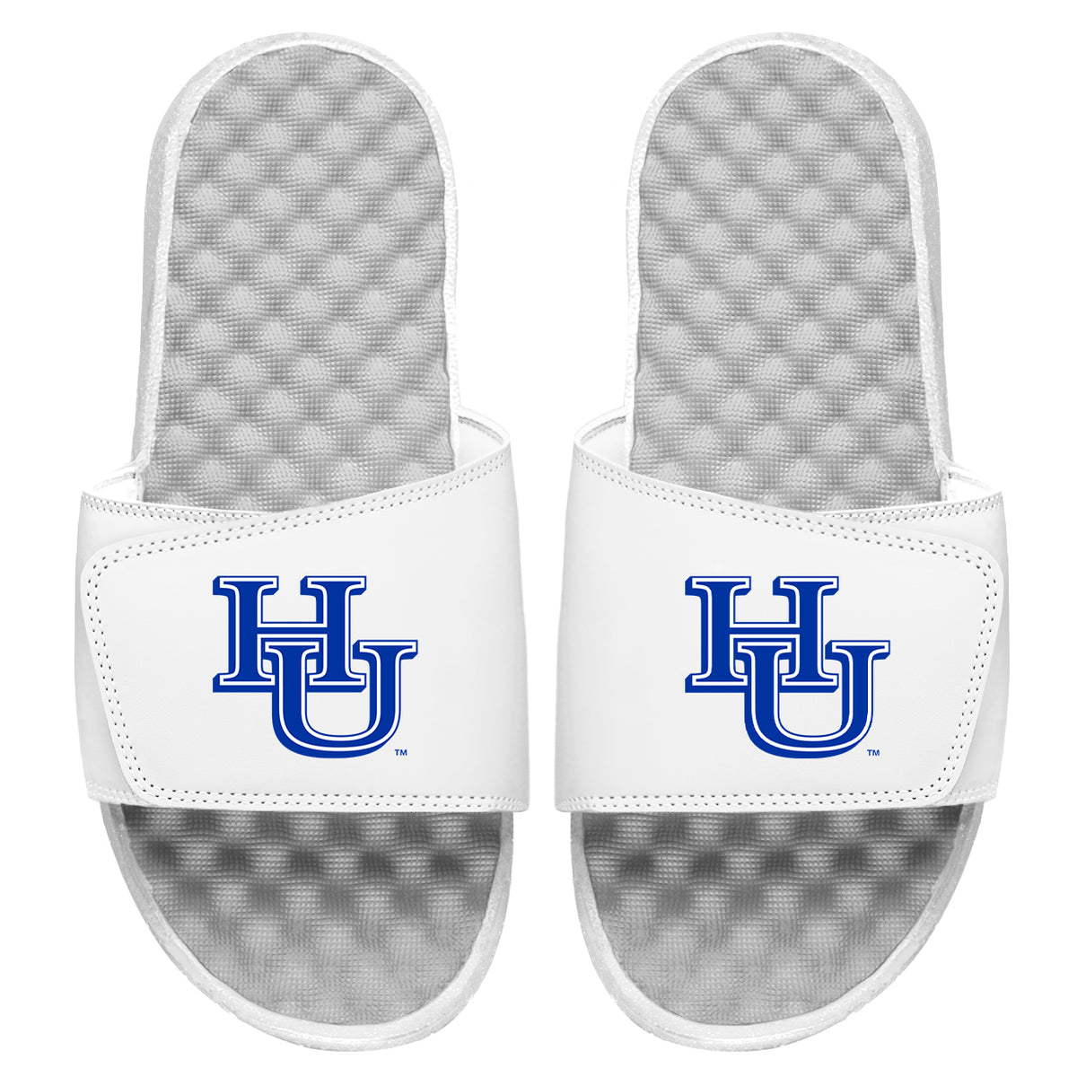 HU Primary Slides