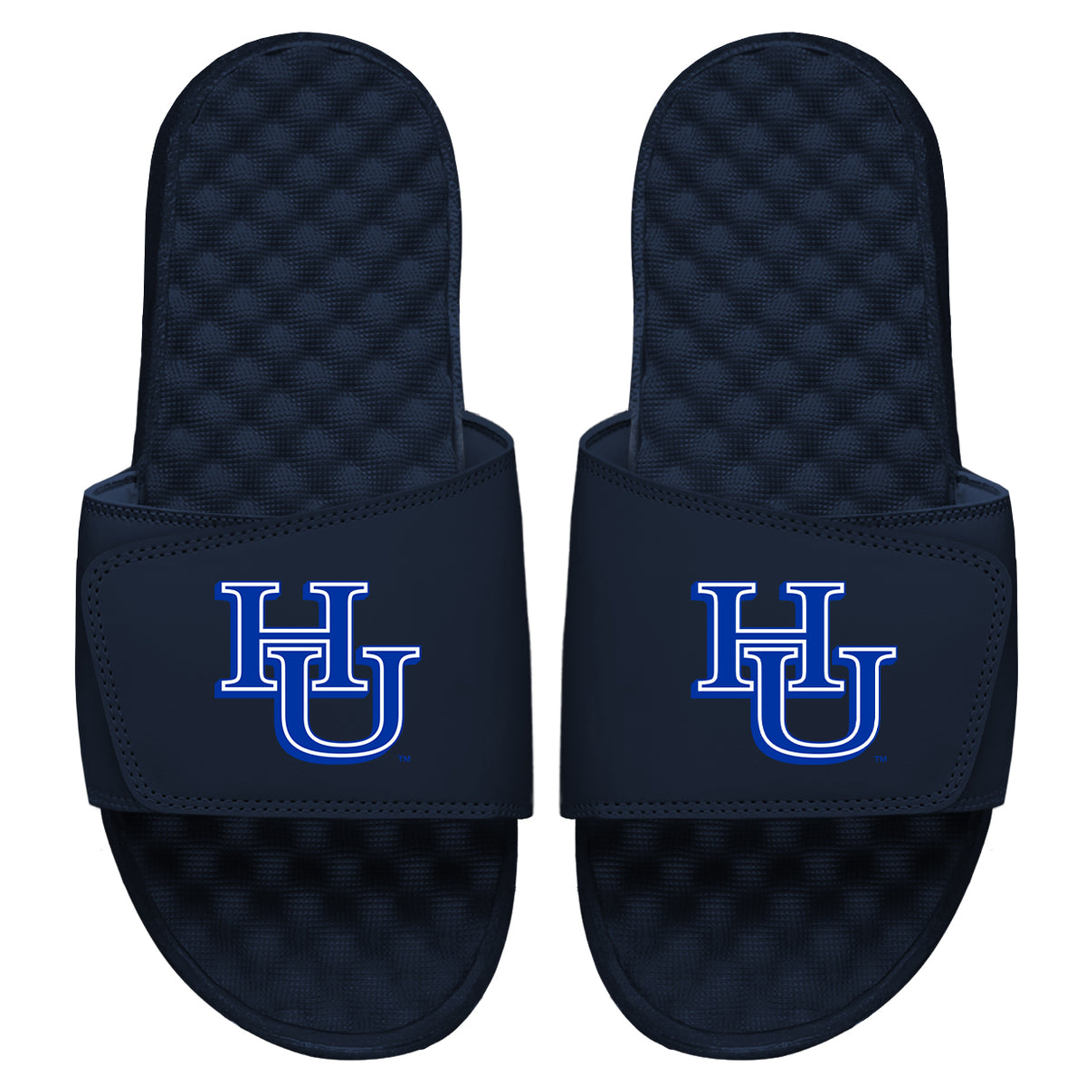 HU Primary Slides