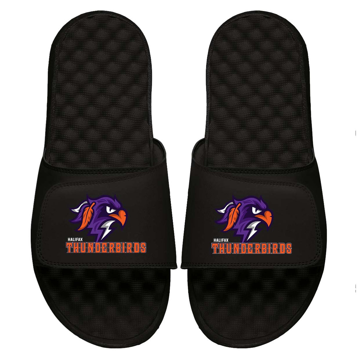 Halifax Thunderbirds Slides