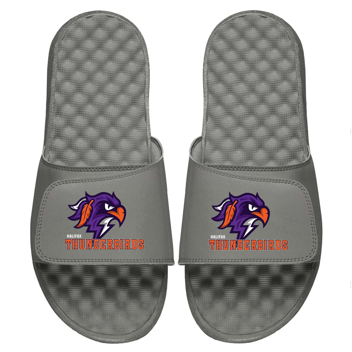 Halifax Thunderbirds Slides