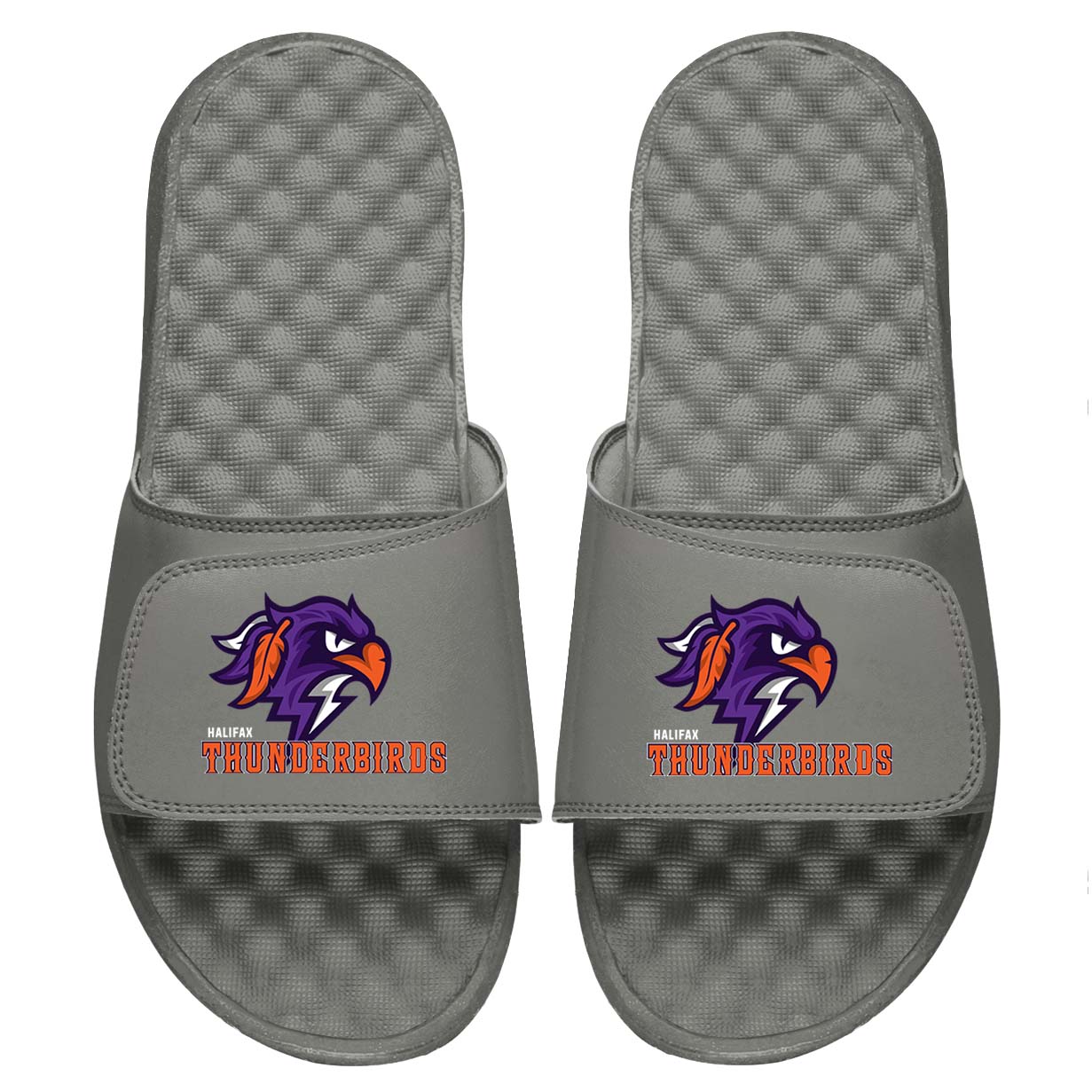 Halifax Thunderbirds Slides