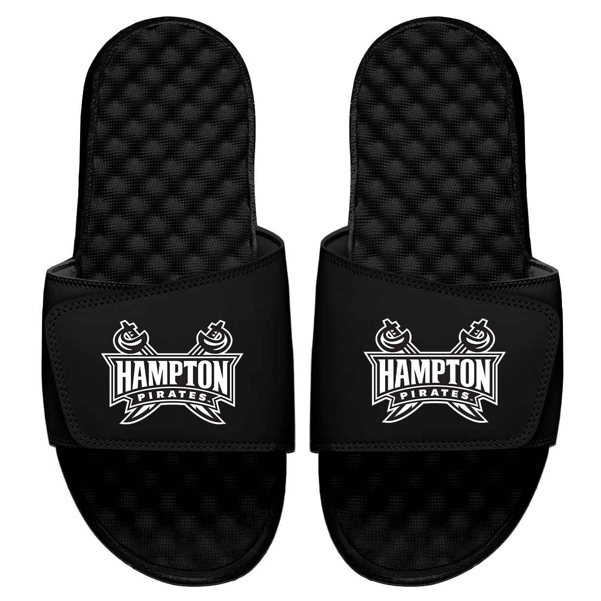 Hampton Swords Logo Slides