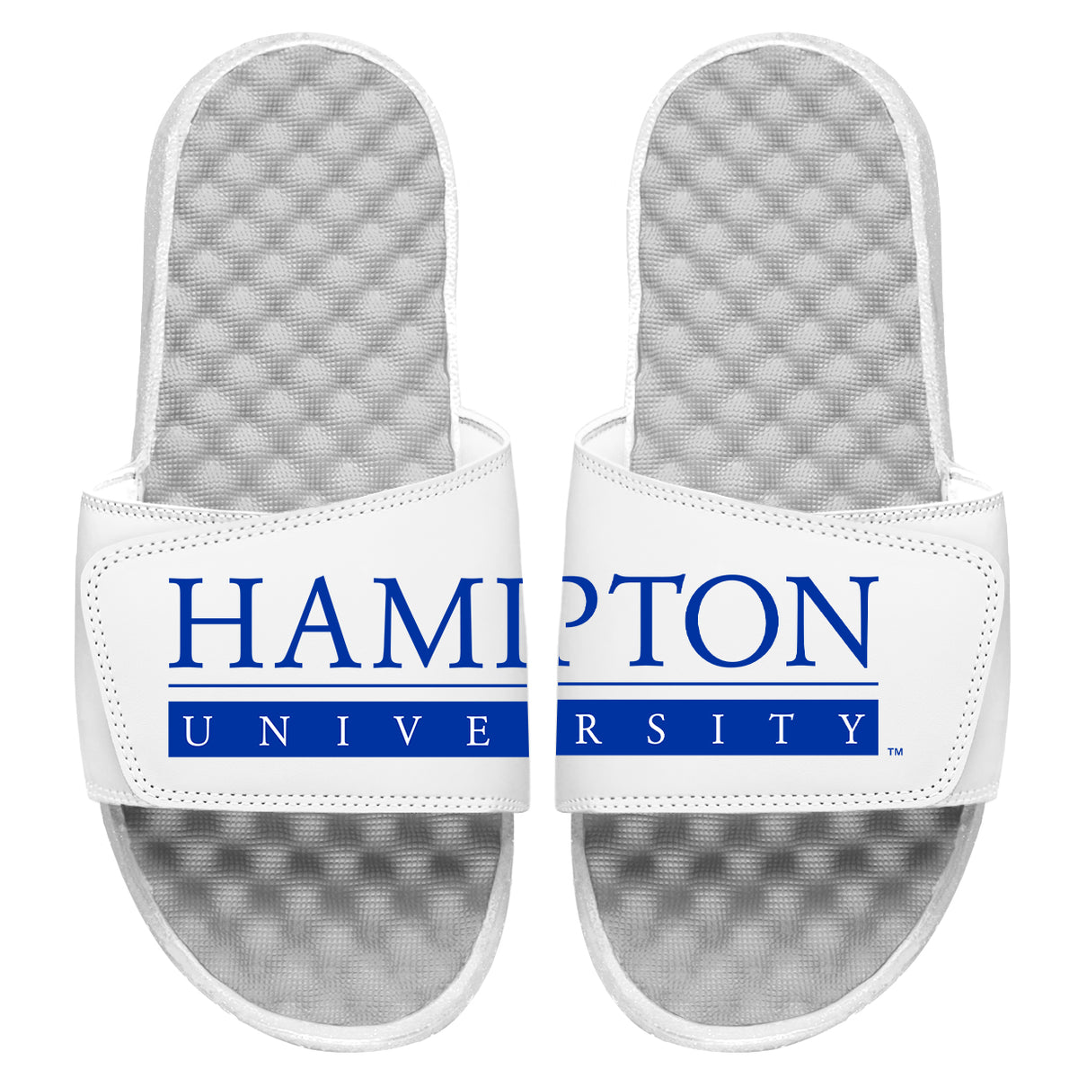 Hampton University Wordmark Split Slides