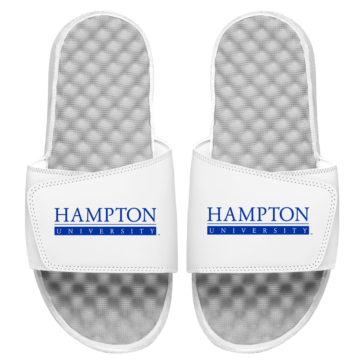 Hampton University Slides