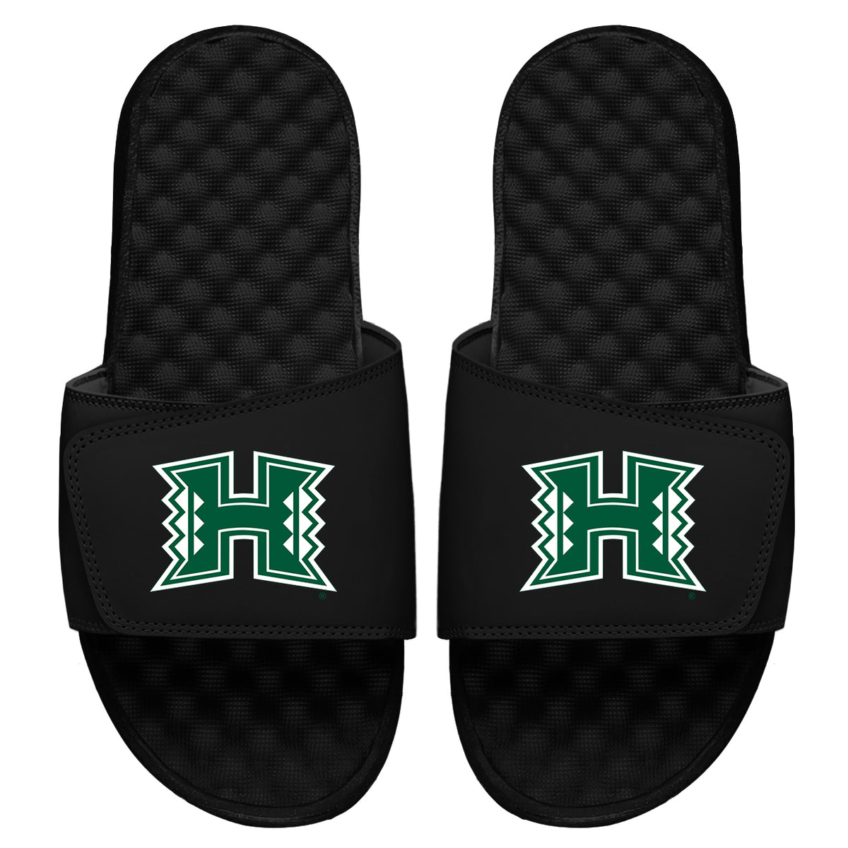 University of Hawaii: Primary Logo Slides