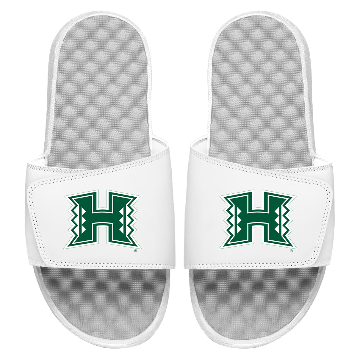 University of Hawaii: Primary Logo Slides