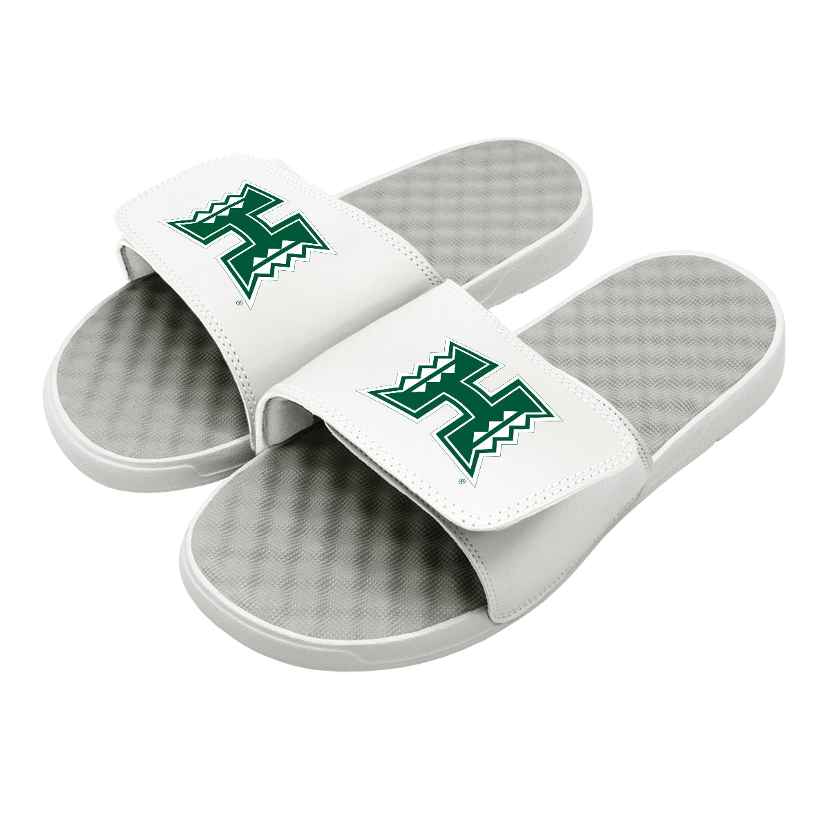University of Hawaii: Primary Logo Slides