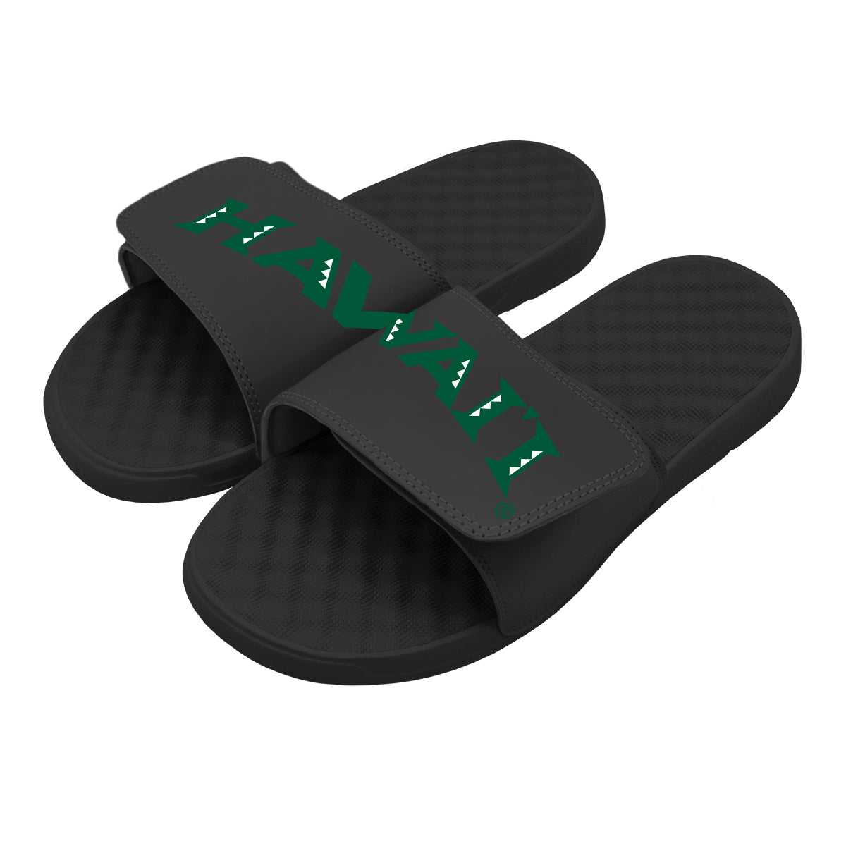 University of Hawaii: Split Logo Slides