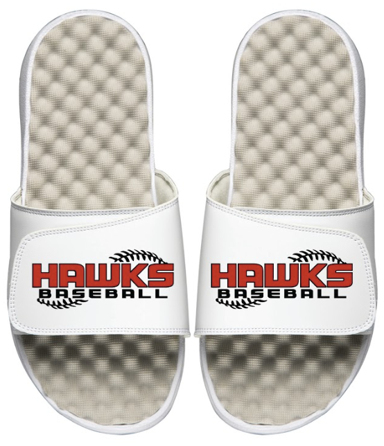 Hawks Baseball Slides