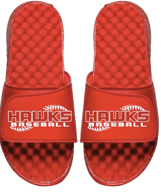 Hawks Baseball Slides