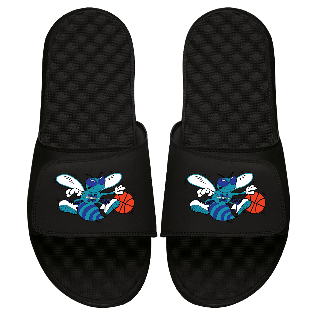 Charlotte Hornets HWC Alternative Slides