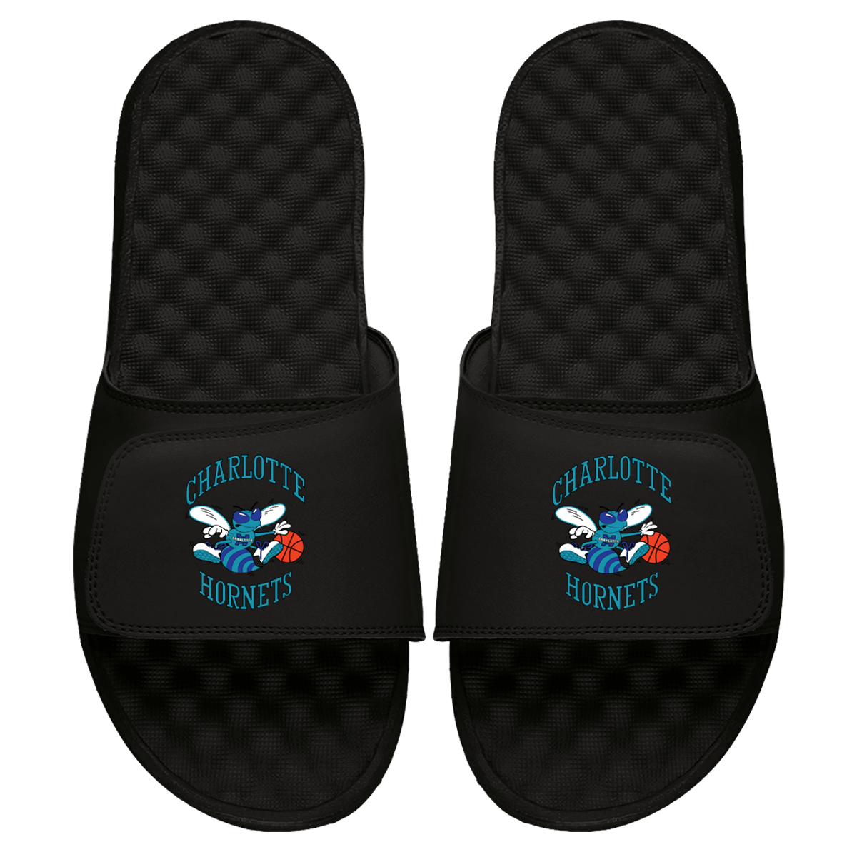 Charlotte Hornets HWC Primary Slides