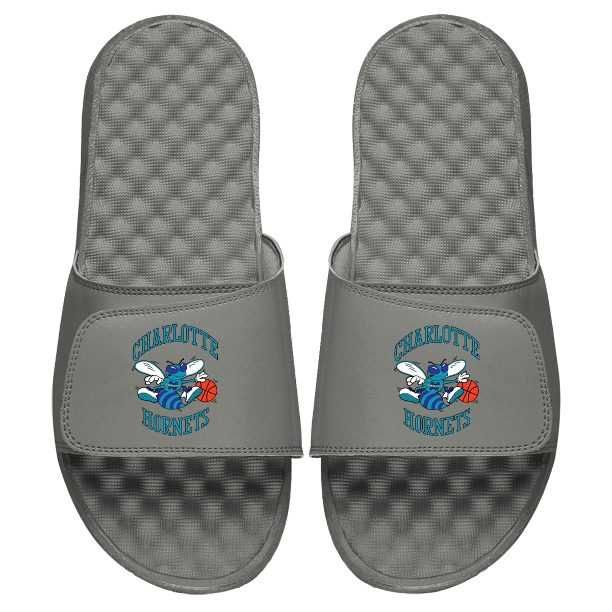 Charlotte Hornets HWC Primary Slides