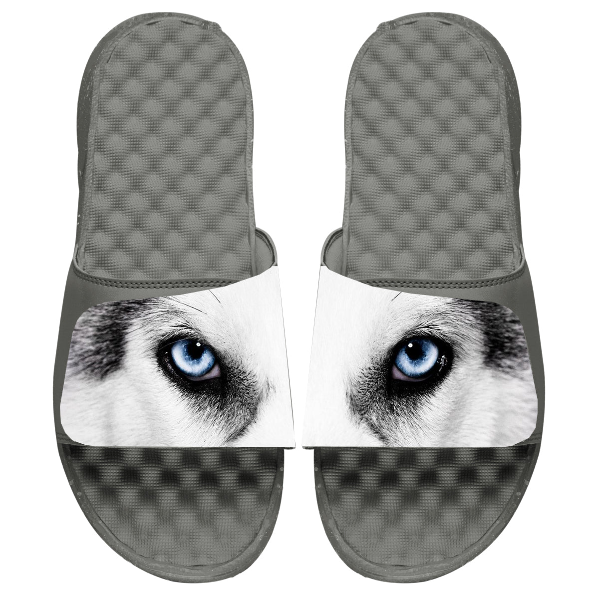 Husky Eyes Slides