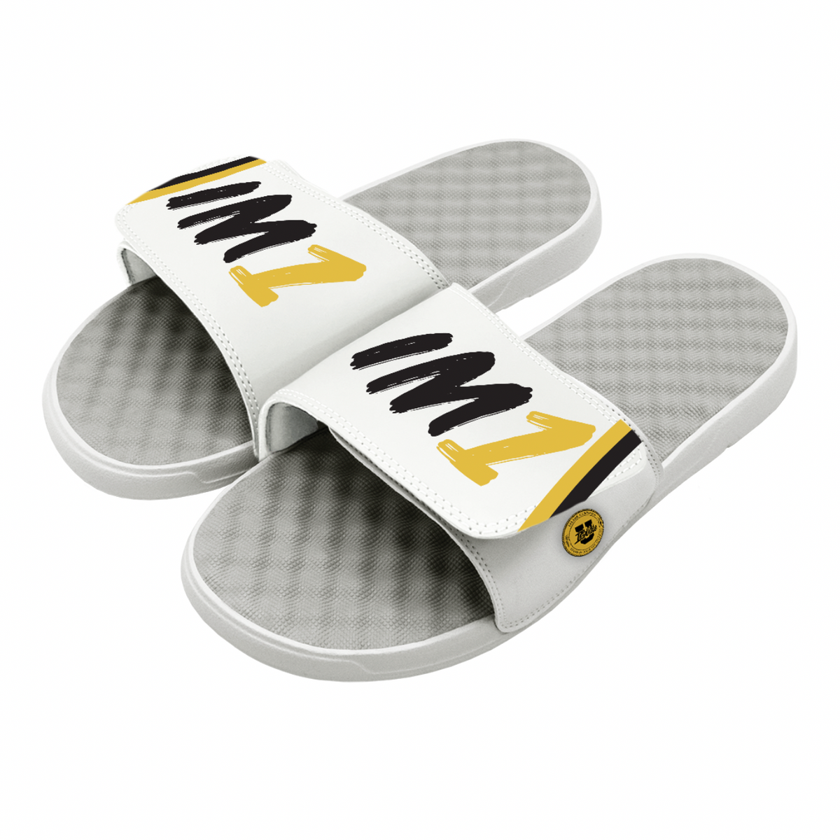 Isaiah Mucius IM1 Slides