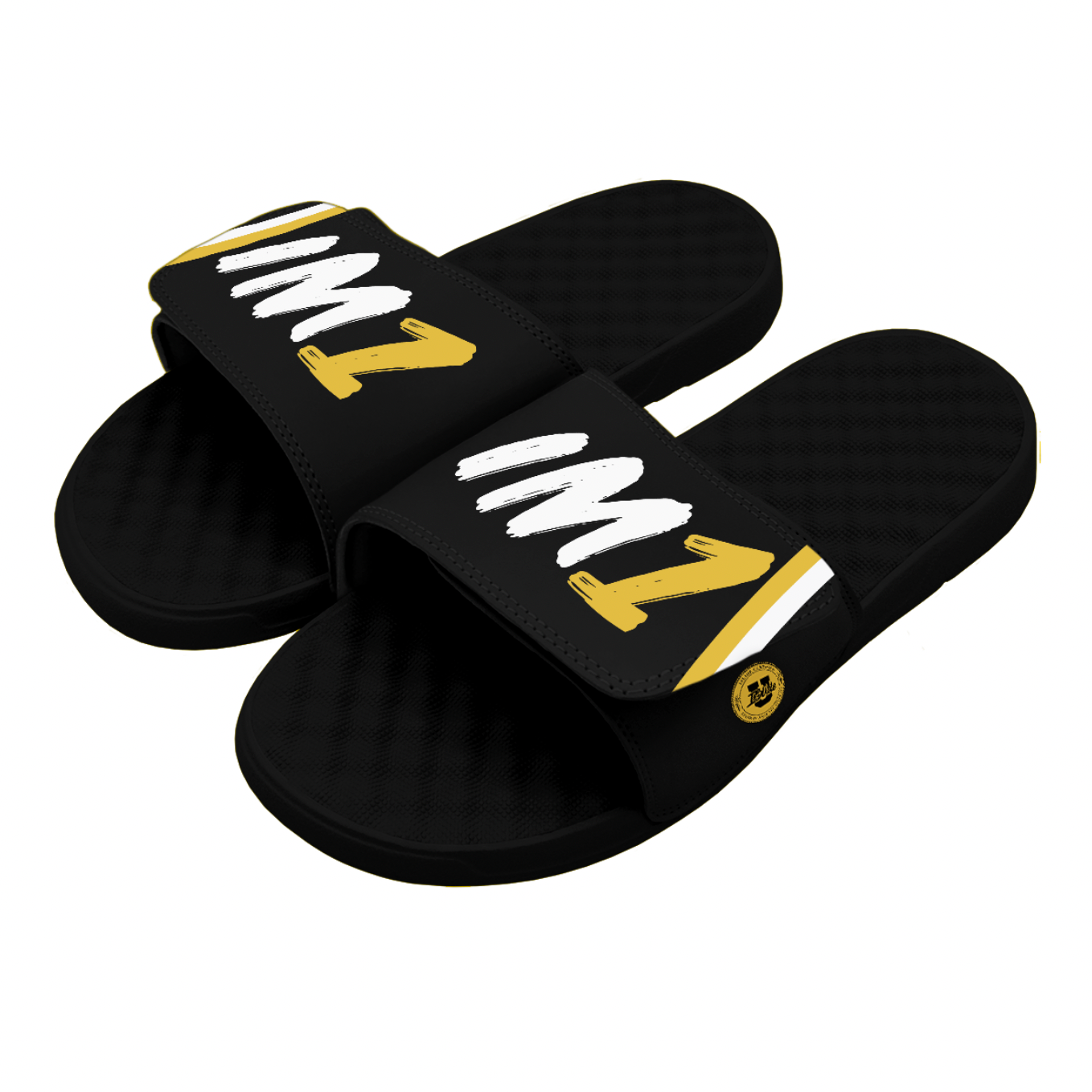 Isaiah Mucius IM1 Slides