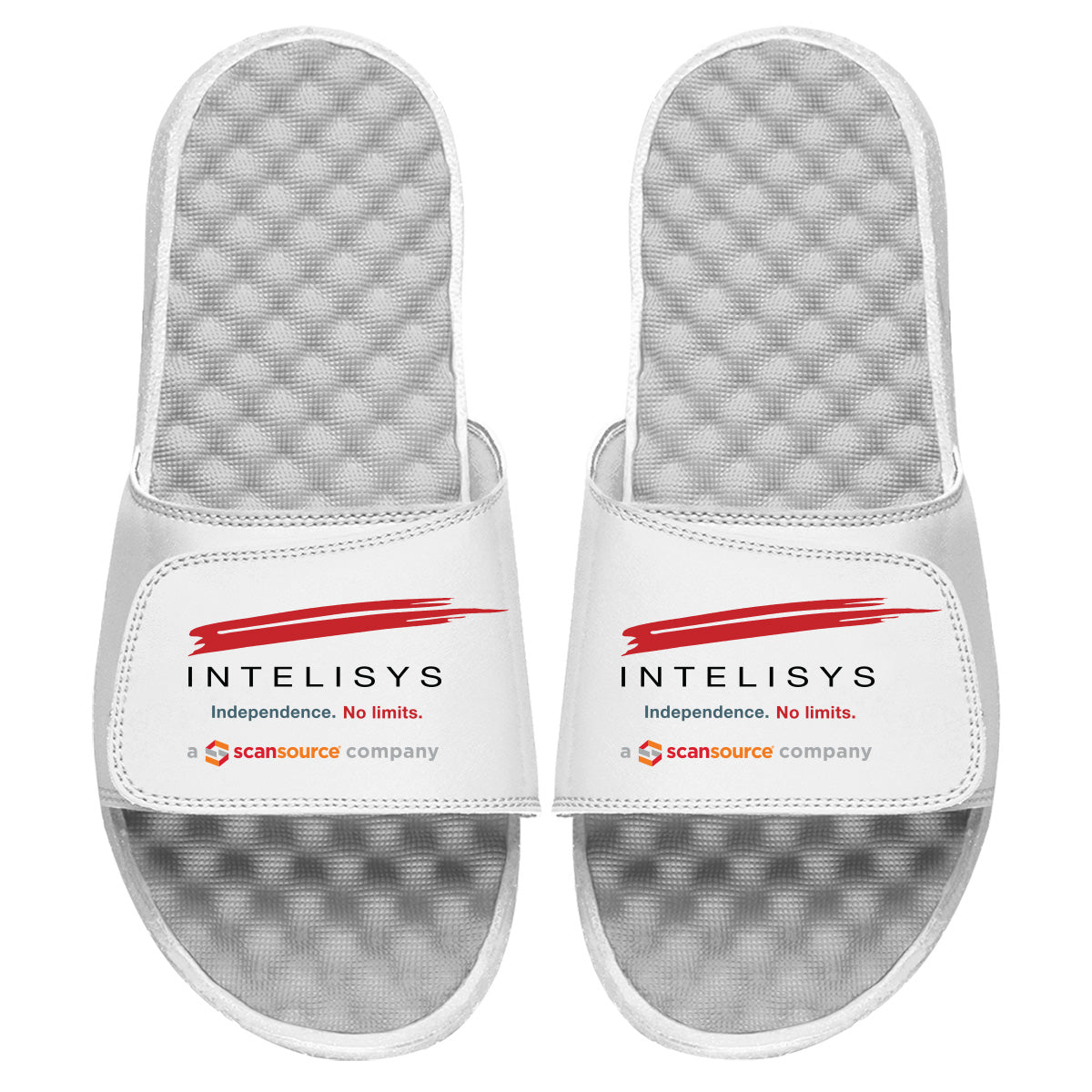 Intelisys Slides