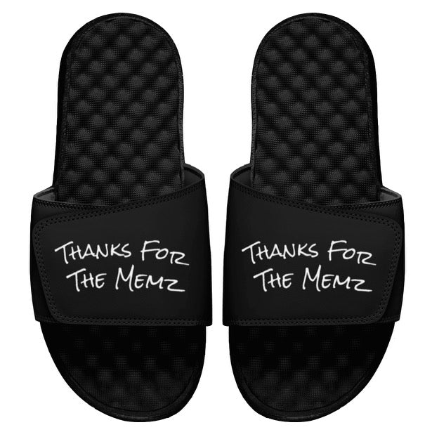 Thanks For The Memz Slides