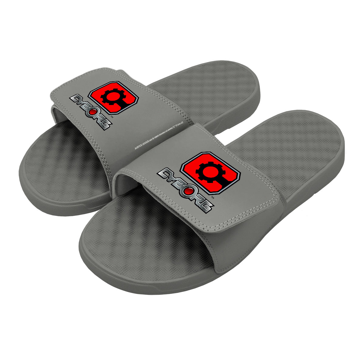 Cyborg Primary Logo Slides