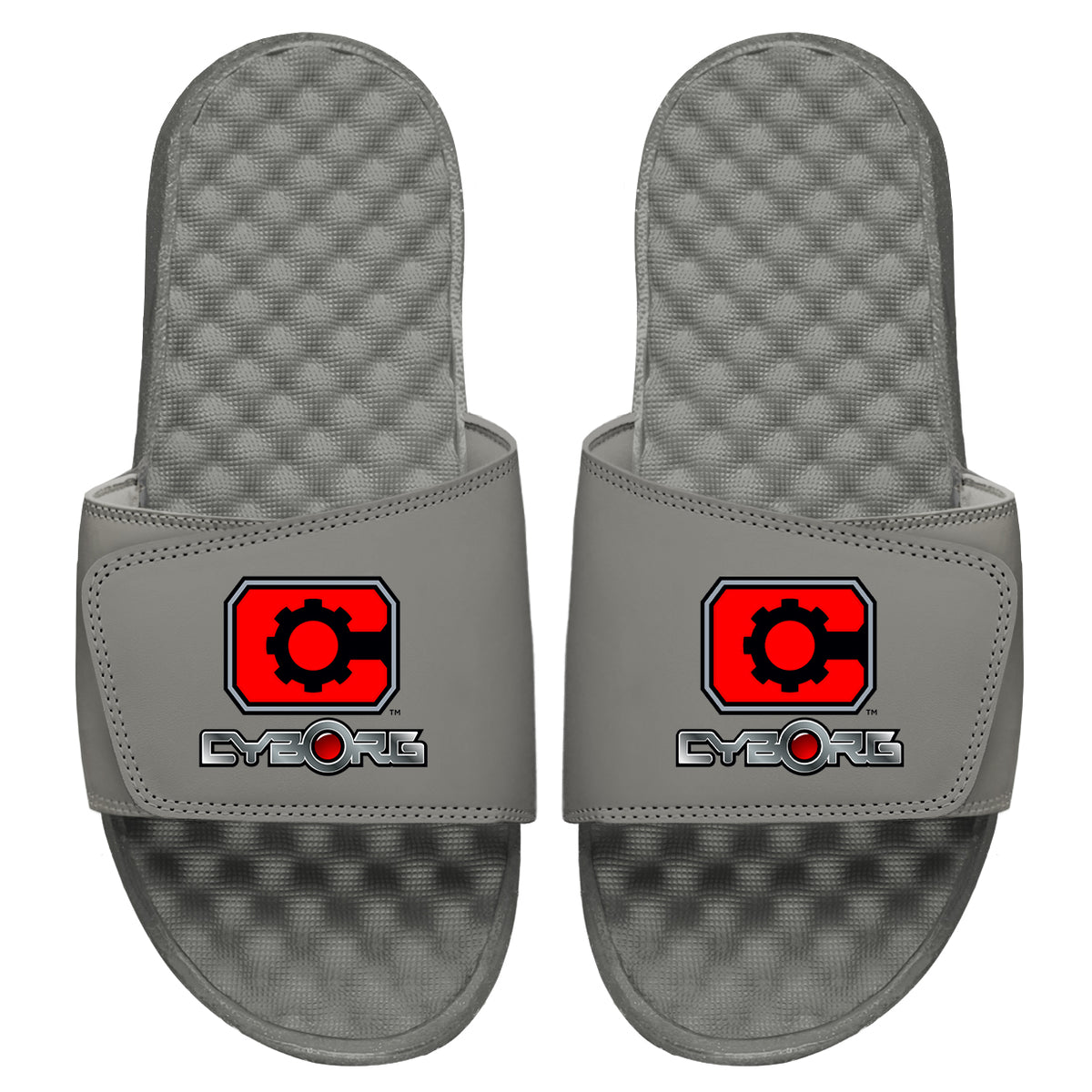Cyborg Primary Logo Slides