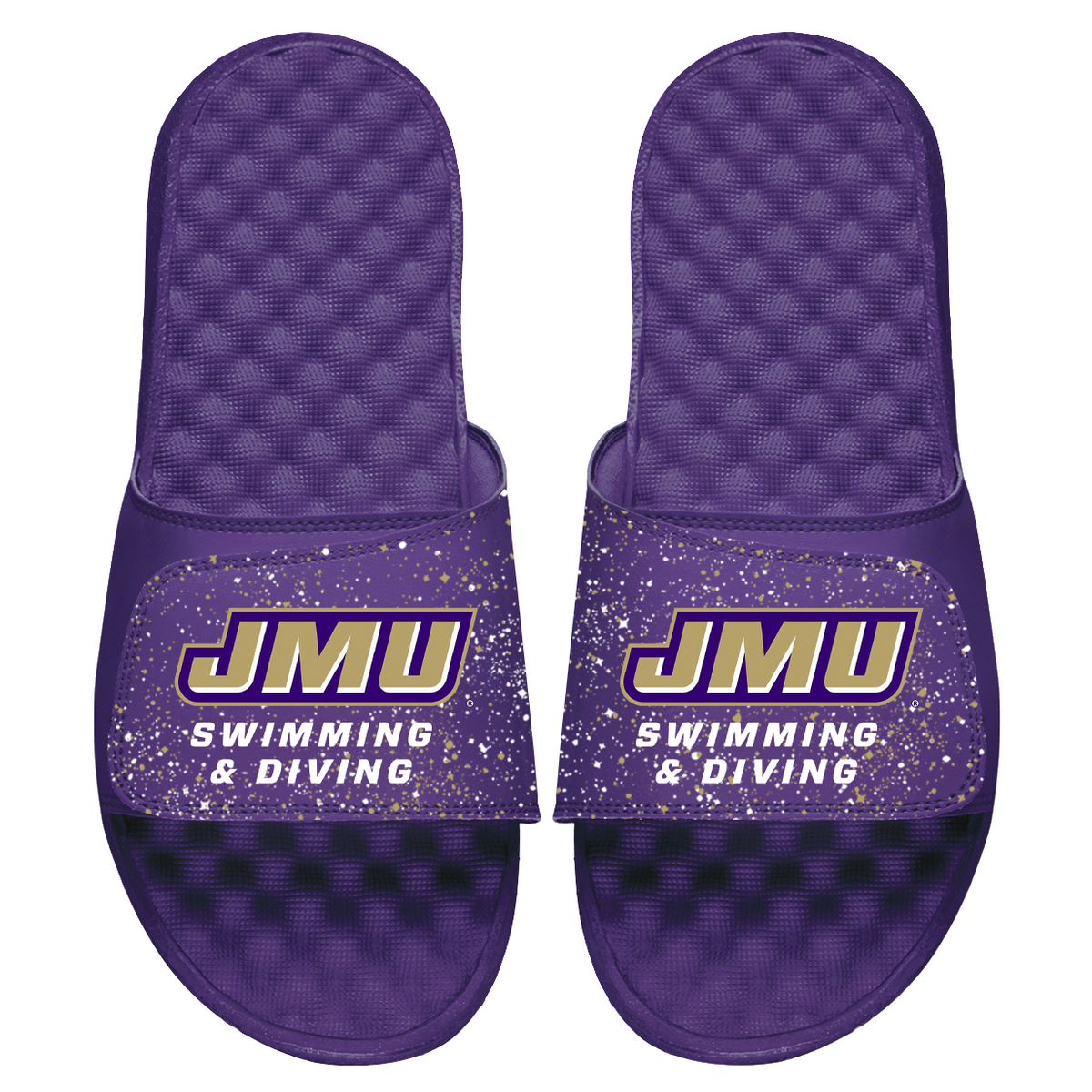 JMU Swimming &amp; Diving Mantra Slides