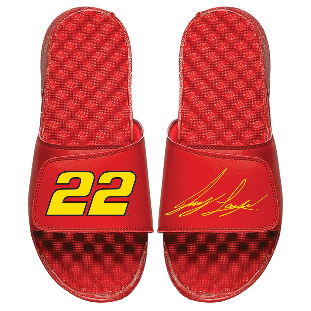 Joey Logano Number and Signature Split Slides