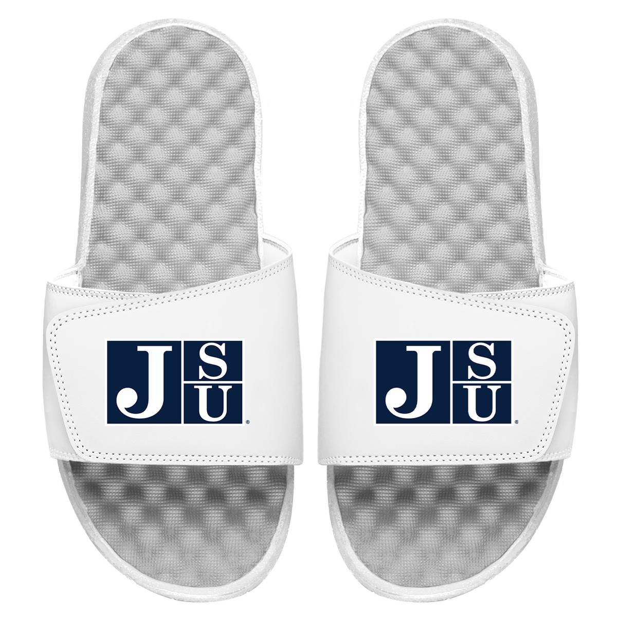 Jackson State Primary Logo Slides