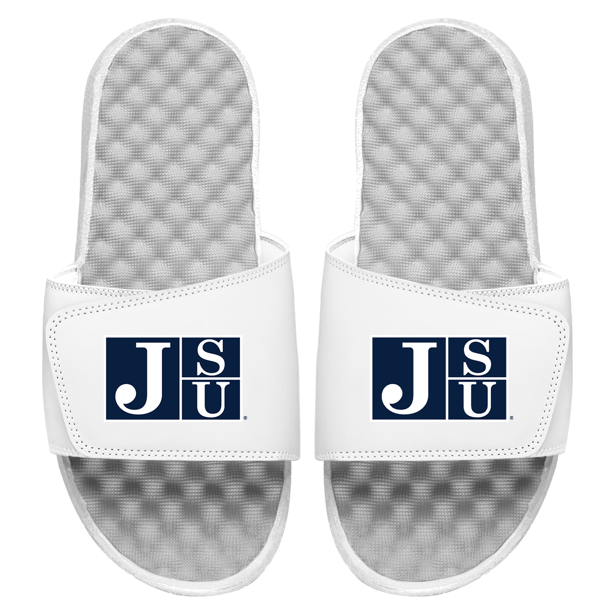 Jackson State Primary Logo Slides