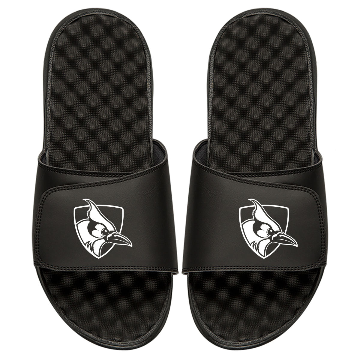 Johns Hopkins White Primary Logo Slides