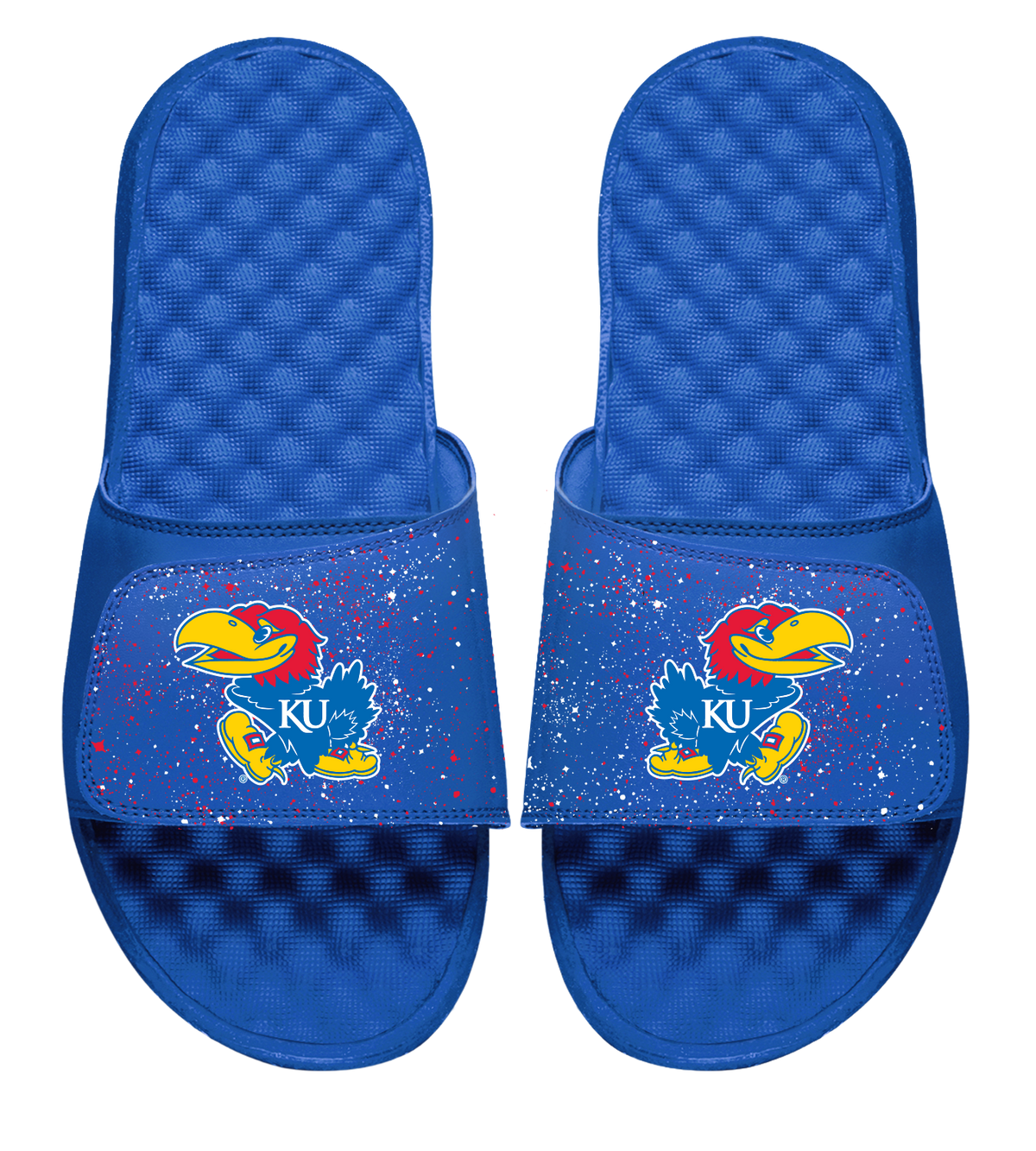 Kansas Primary Speckle Slides