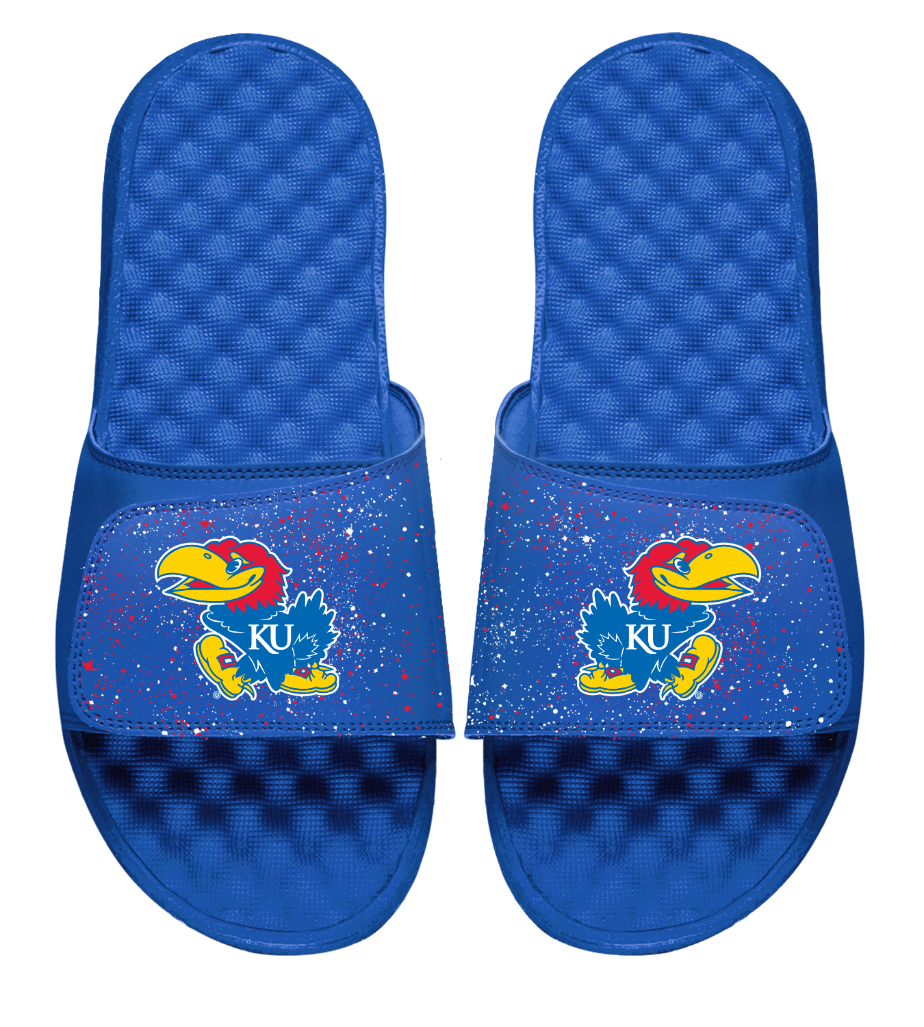 Kansas Primary Speckle Slides