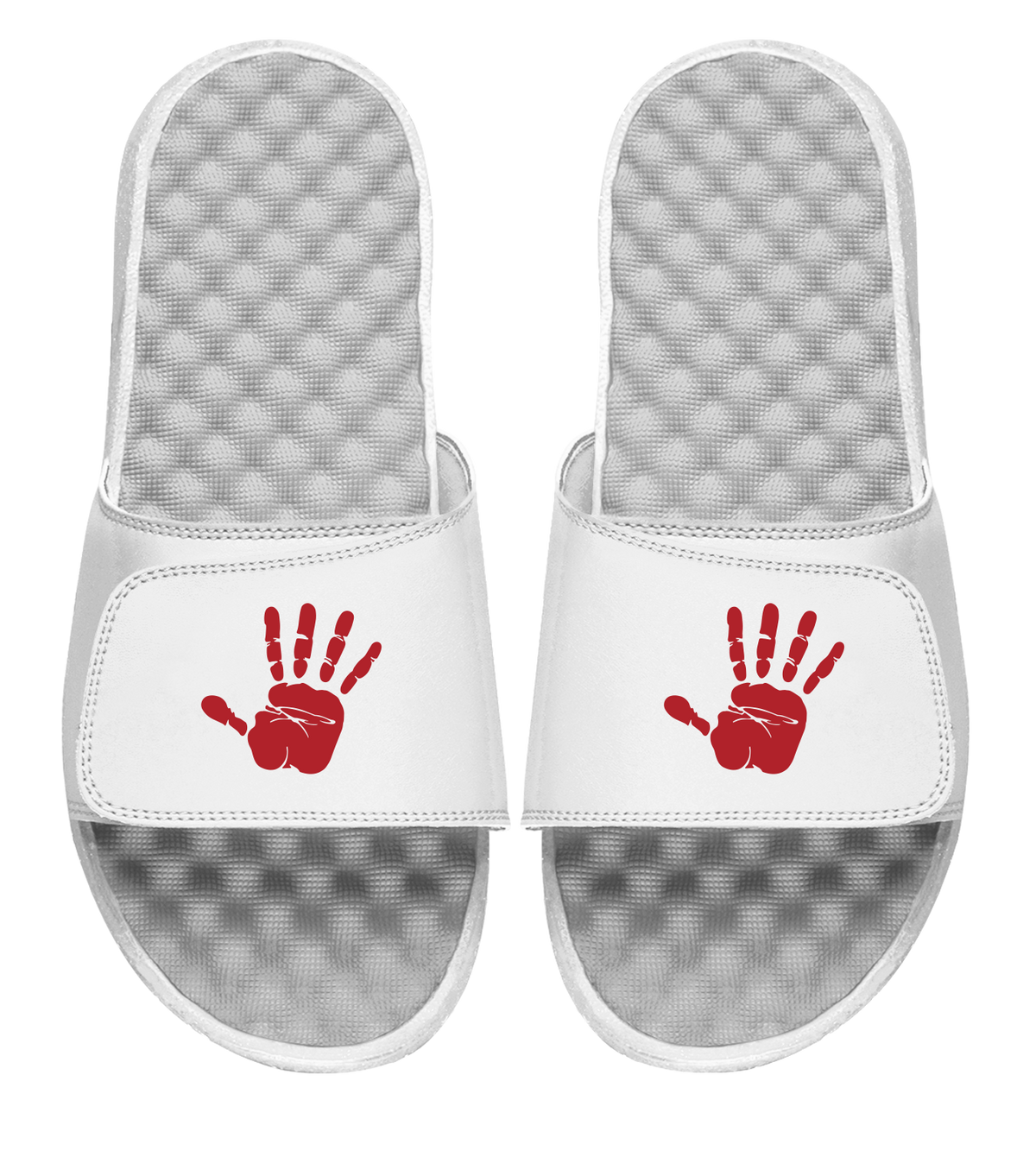 Currence Handprint Slides