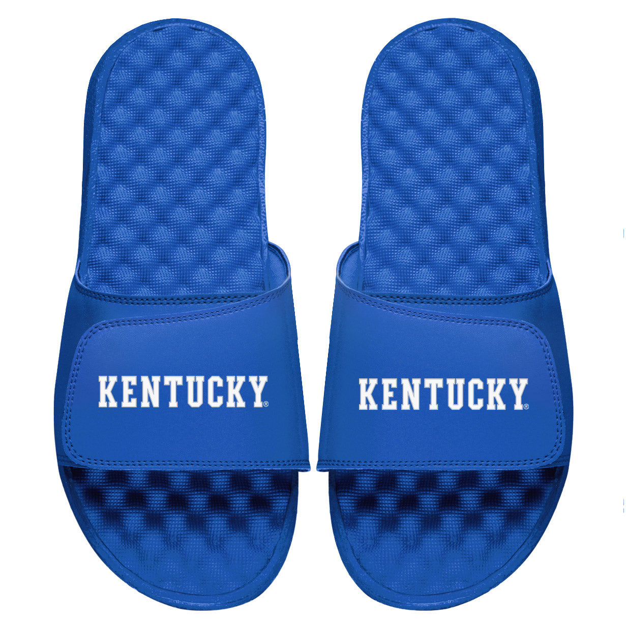 Kentucky Wordmark Slides