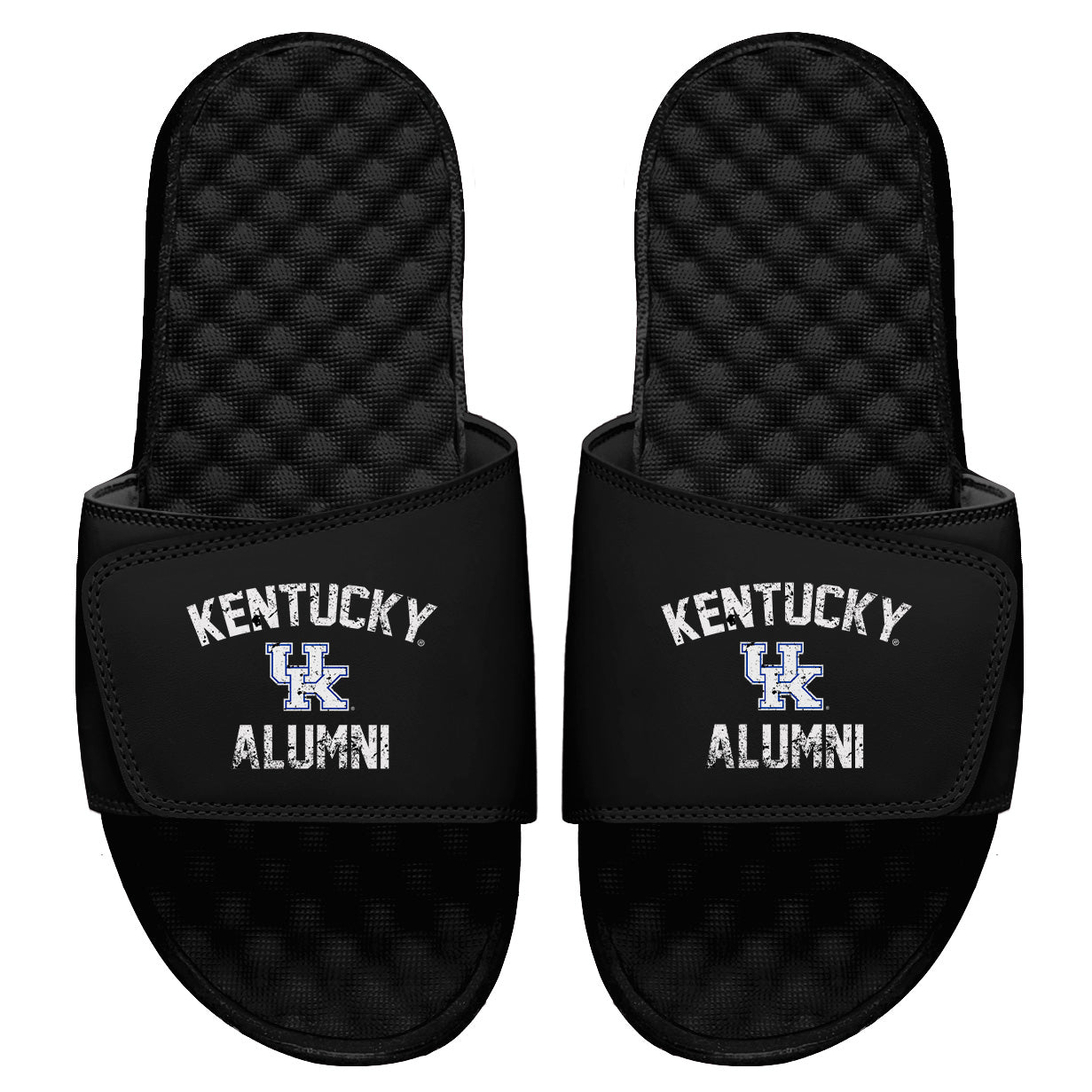 Kentucky Alumni Slides