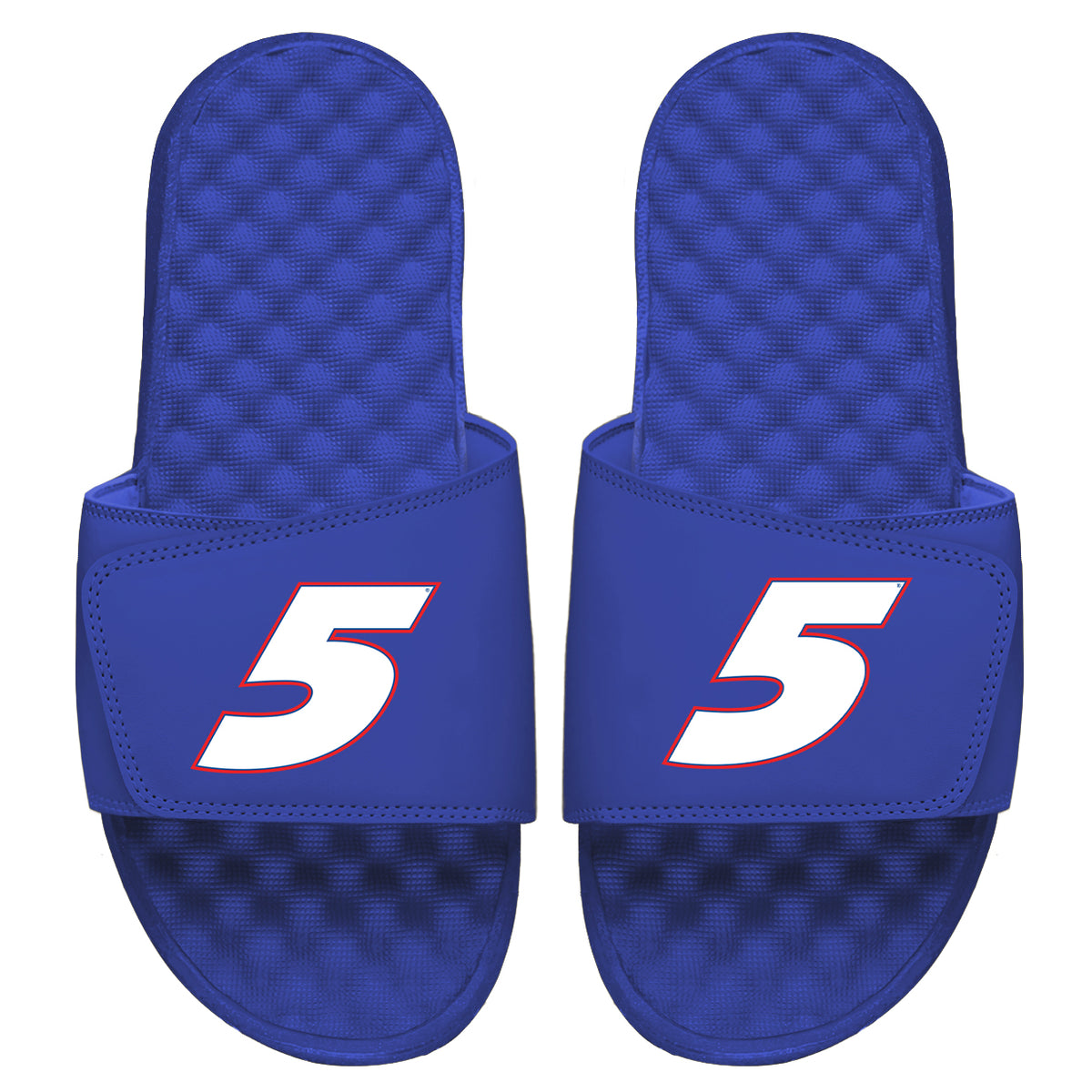Kyle Larson 5 White Slides