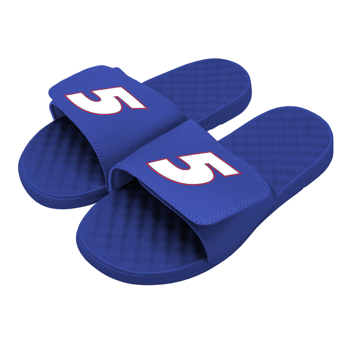 Kyle Larson 5 White Slides