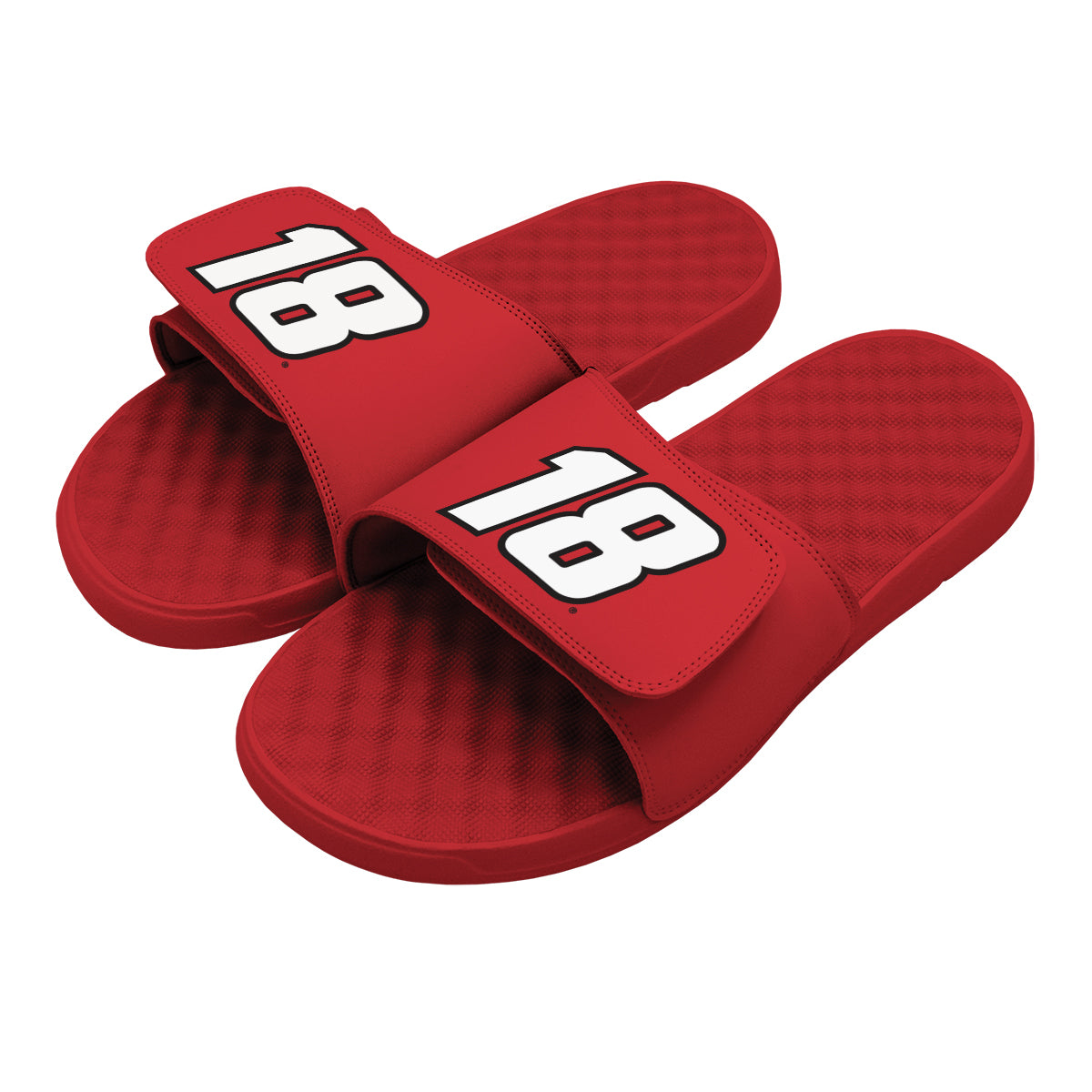 Kyle Busch 18 Slides
