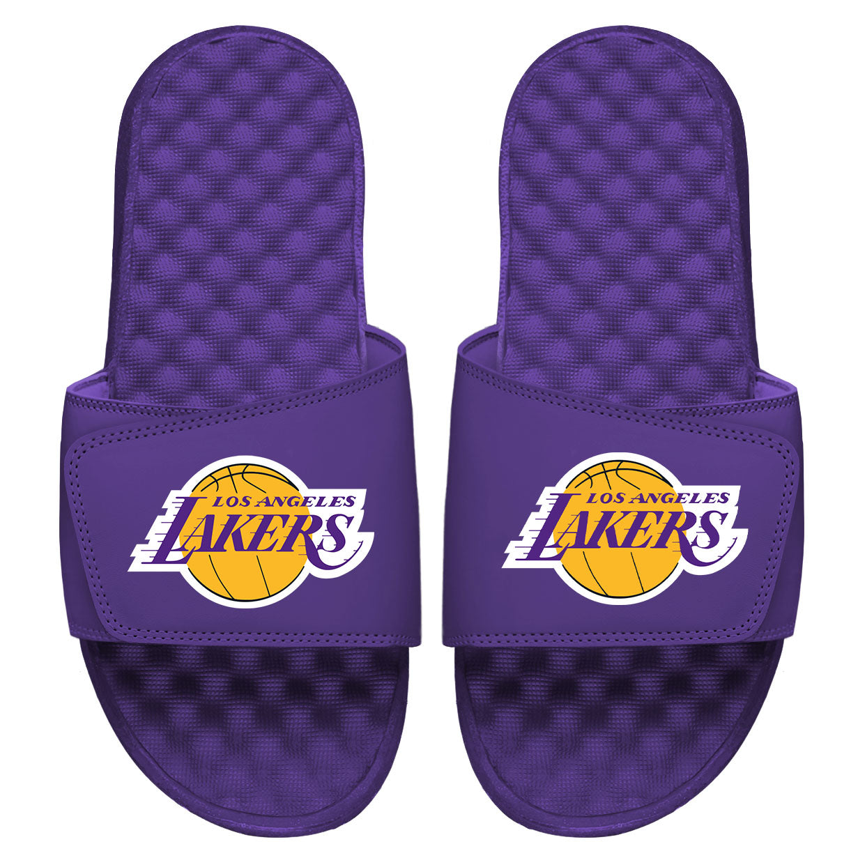 LA Lakers Primary Logo Slides
