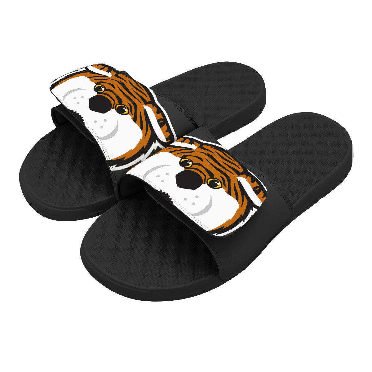 LSU Blown Up Mascot Slides