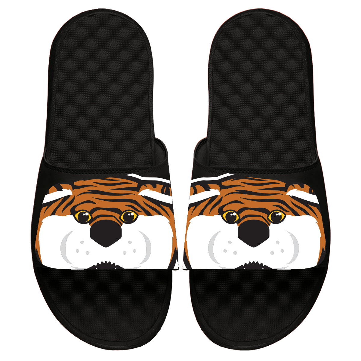 LSU Blown Up Mascot Slides