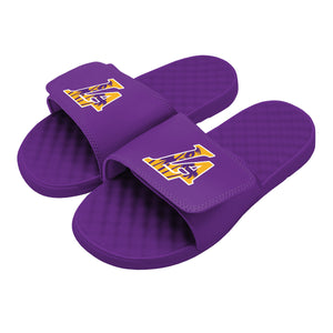 Lakers Purple Nike Slides Mens Lakers Benassi Slides On Sale