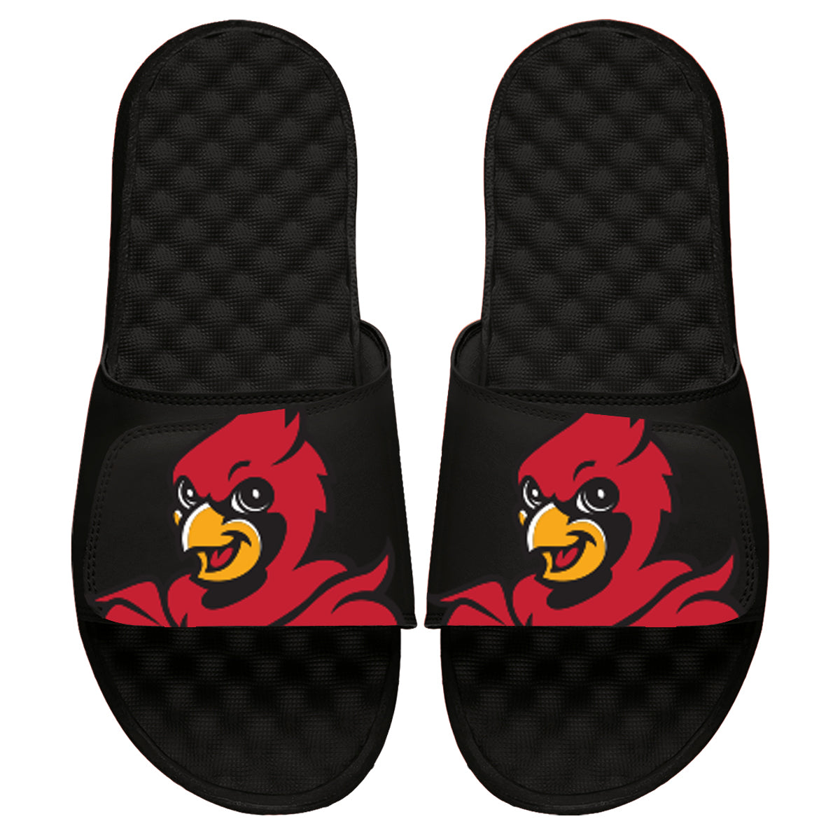 Louisville Blown Up Mascot Slides