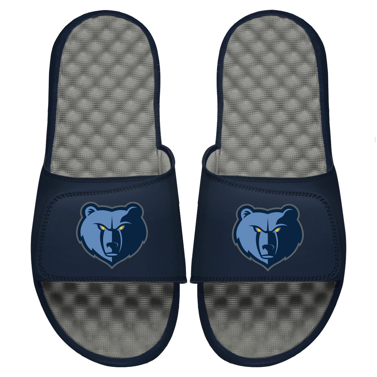 Grizzlies Primary Logo Slides