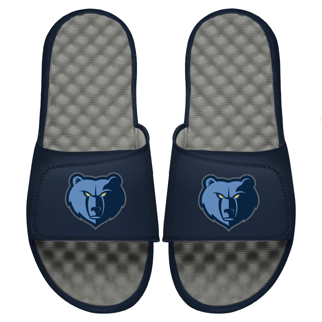 Grizzlies Primary Logo Slides