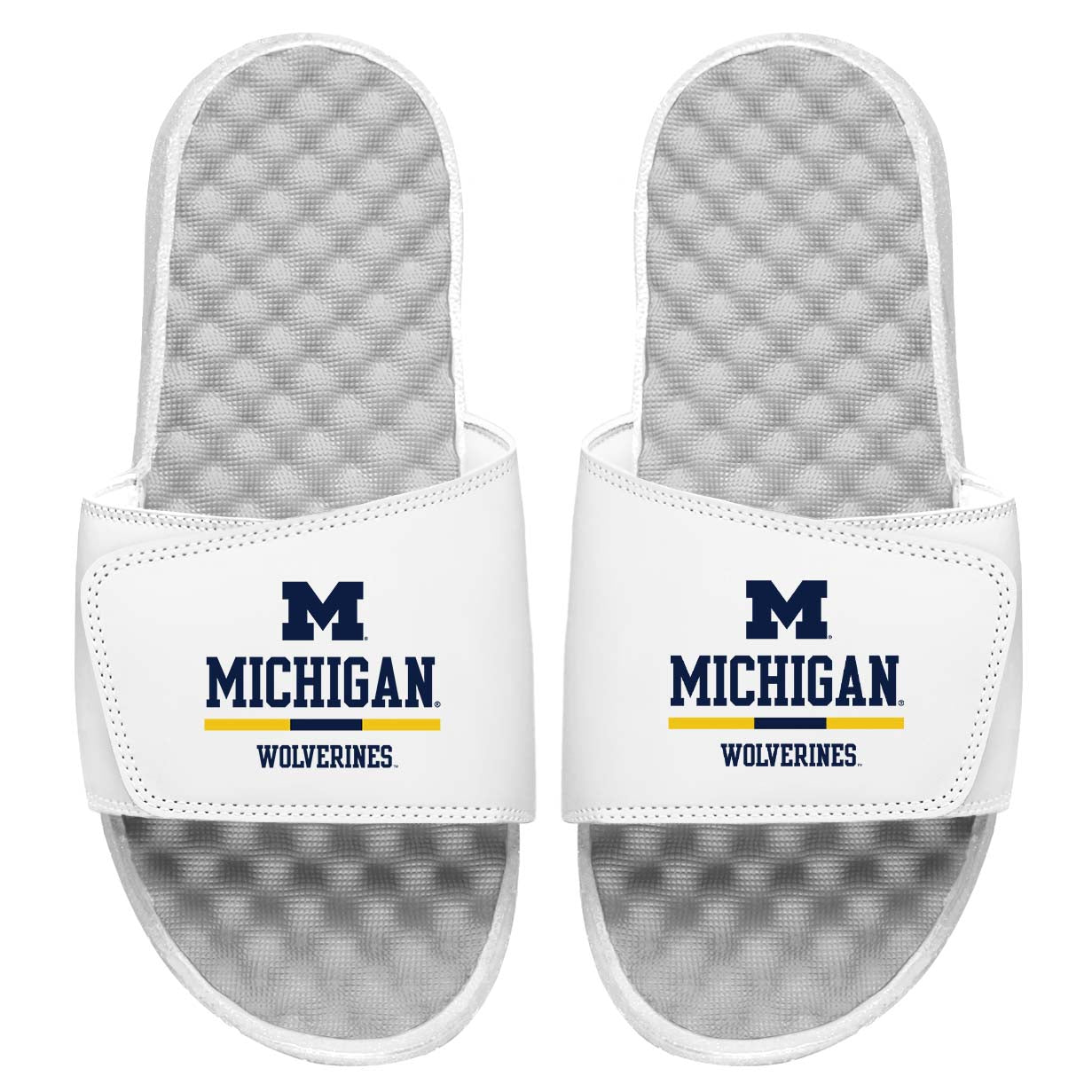 Michigan Split Bar Slides